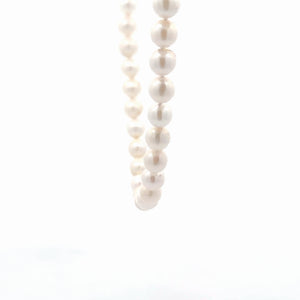 ITEM 6049