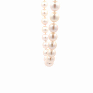 ITEM 6050