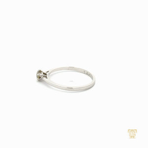 ITEM 7262