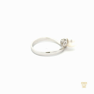 ITEM 6061